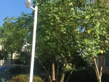 店长推荐:沁乐佳苑 电梯中区 户型好 全新毛坯 急售