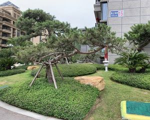 急急急!一线海景急售!越快越好!看房方便