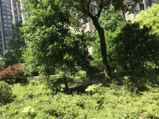 沧海绿苑 3室2厅 南