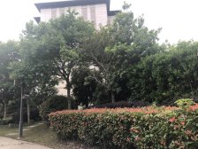 带产权车位 采光好 毛坯,随时看房 店长力推