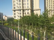 恒瑞坦城 全明户型 精装修 不邻路 采光视野无遮挡