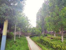 国光小区 2室2厅 南 北