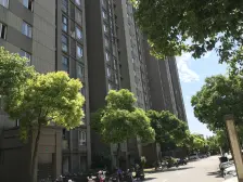 嘉闵线旁200米,大面积五房,阁楼带露台