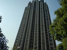 三林·城林嘉苑·1室·1厅