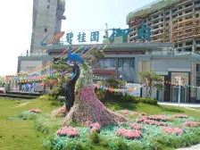 此房、南北通透格局、低楼层、视野很好、采光充足