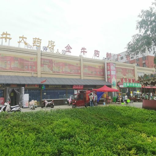 皇朝丽苑2室2厅1卫南北朝向1100.00元/月出租