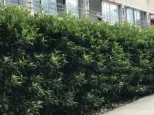 华亭·锦洋华园·3室·2厅