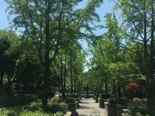 安亭瑞仕华庭2室2厅1卫南朝向375.00万元/套出售