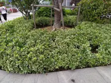 平江新城·苏州城市生活广场·2室·1厅