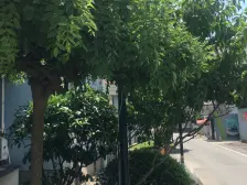 新黄路11弄 3室2厅 南