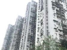 电梯房清水 看房随时方便 屋顶可以种菜