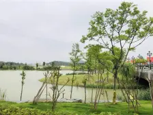 新上富力城临湖双拼别墅花园可以扩600平米