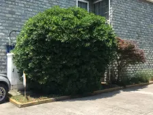 带产权车位 近地铁,无抵押,满五 产权清晰,必看好房