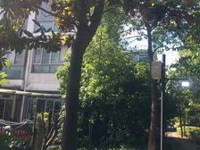 丰盛雅苑4室2厅2卫南