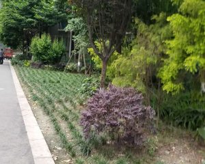 宇众悦府3室1厅西南