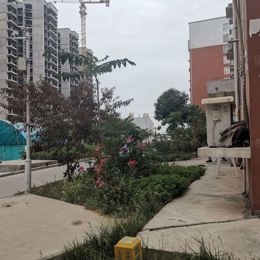 »Ê³¯ÀöÔ·3ÊÒ2Ìü1ÎÀÄϳ¯Ïò1500.00Ôª/Ô³ö×â