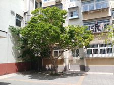 康居家园采光好业主诚心出售看房方便