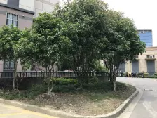 菊园新区·宝菊清水园·1室·2厅