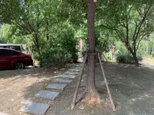 北虹桥双轨交低总价南北通两房,高楼层采光视野好