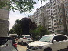 新世纪广场 舜泰园 电梯洋房 三室朝阳 南北