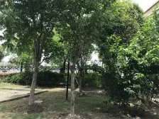 近地铁,高楼层采光实现好,业主诚意出售