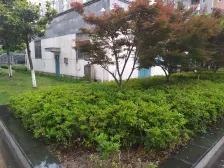 富贵苑 4房 精装 好楼层 采光好 交通方便