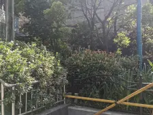 凯旋门大厦 3室1厅 北