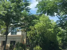安亭瑞士华庭,同济学区,精装满五无税,大开间平层,看房方便,