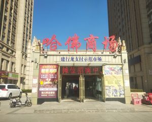 高新哈佛世纪3室2卫好楼层不把边