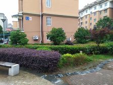 :多层洋房,居住舒适度高采光无遮挡配套完善