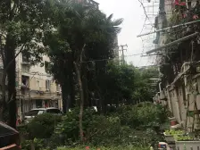 双南两房采光好,美丽家园环境好