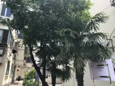 此房满五,税费少,业主诚意出售