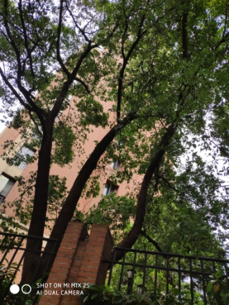 福邸雅苑