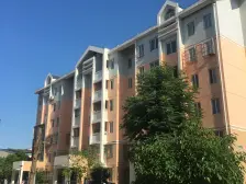 店长推荐:沁乐佳苑 电梯中区 户型好 全新毛坯 急售