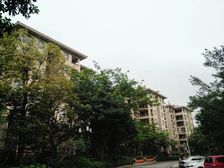 远大美域新城4室2厅东东南南西南