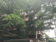 天星桥 制药村一房30万