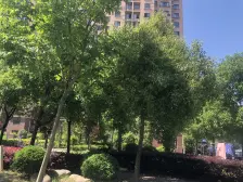 近万达,南北通透户型方正,边套,诚心出售,看房方便