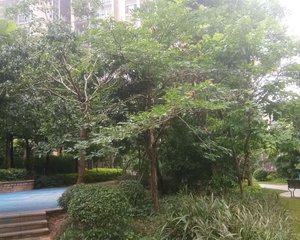 常平都市华府1房出售,诚意出售