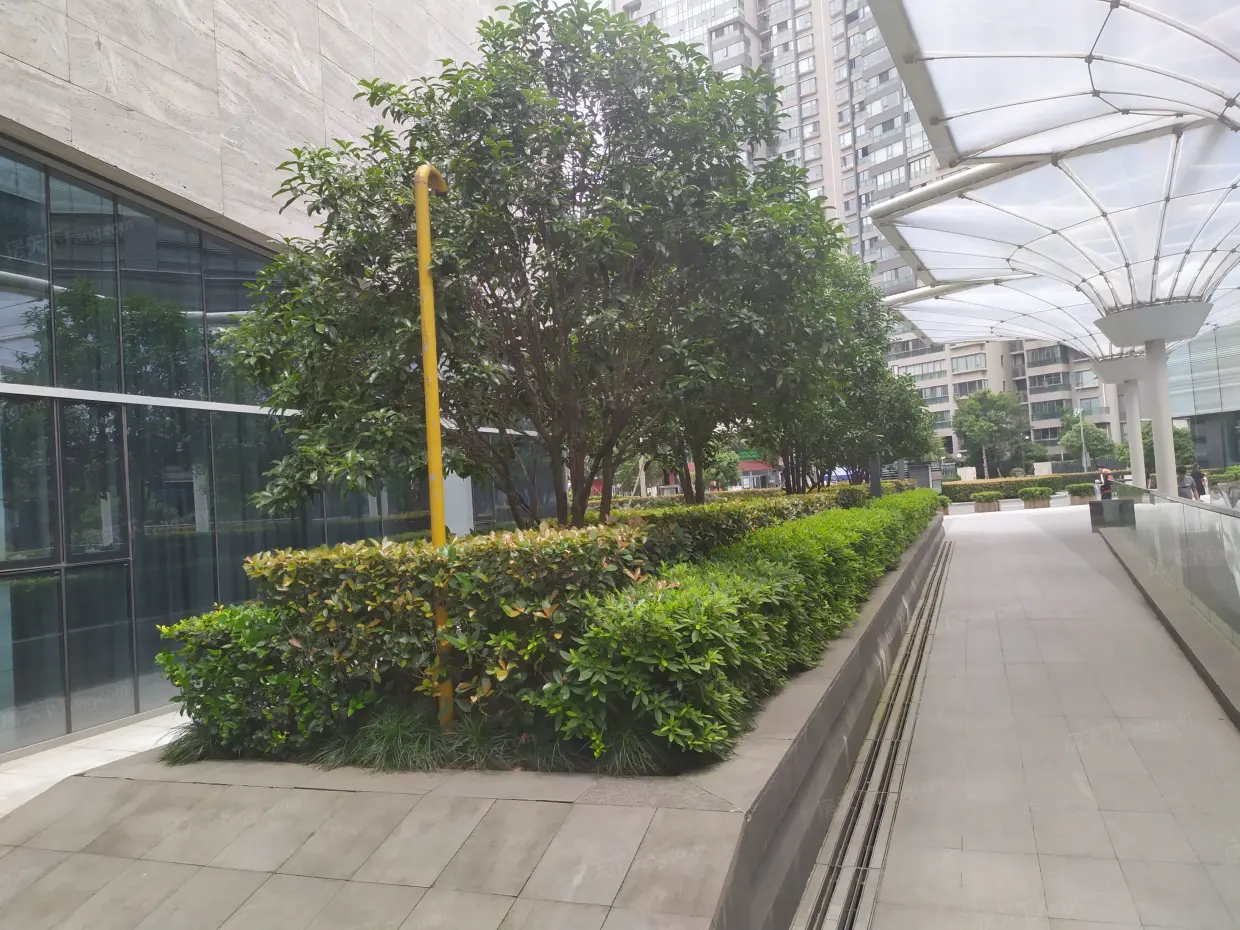 汇豪国际