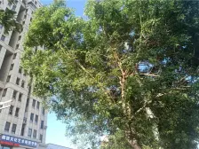 富临国际 好楼层 采光好 视野开阔