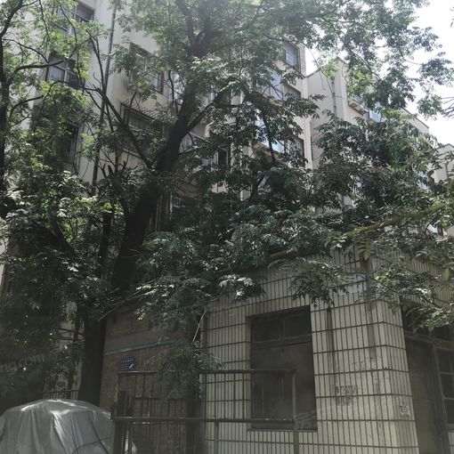 中原西路113号院3室1厅1卫南北朝向800.00元/月出租