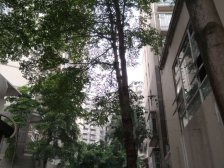 地铁口 精装一房一厅 带租约诚意出售