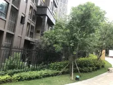 南滨路次新小区,精装朝中庭洋房大平层