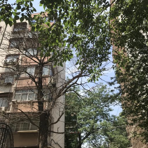中原西路113号院3室1厅1卫南朝向750.00元/月出租