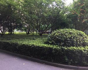 房子户型方正,边套阳光很好,适合小家庭入住,