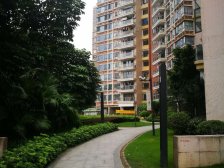 14年楼盘,交通方便,户型好,满5唯一,不欠款交易快