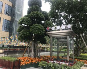 恒大银海湖二期3室2厅东北