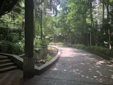 龙湖时代天街旁,一号线轻轨,正规两室