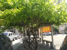 吴泾·曹建小区·2室·1厅