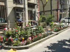 梅陇·莘朱路1760弄·4室·2厅